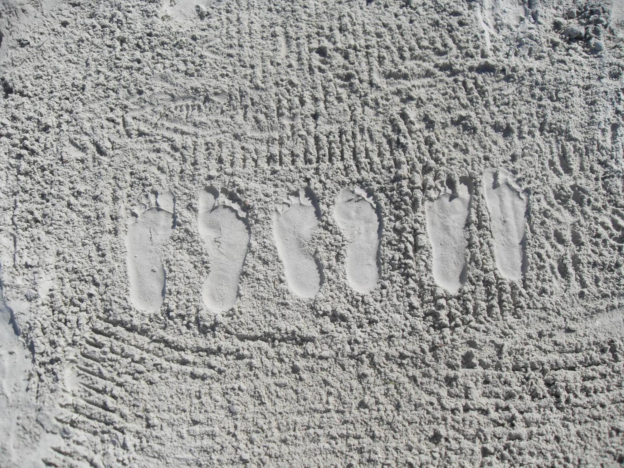 Wander Inn Rangiputa Exteriör bild